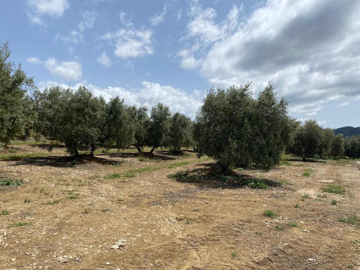 Cuartos Y Desayunos Hacienda Los Olivos Álora Exterior foto